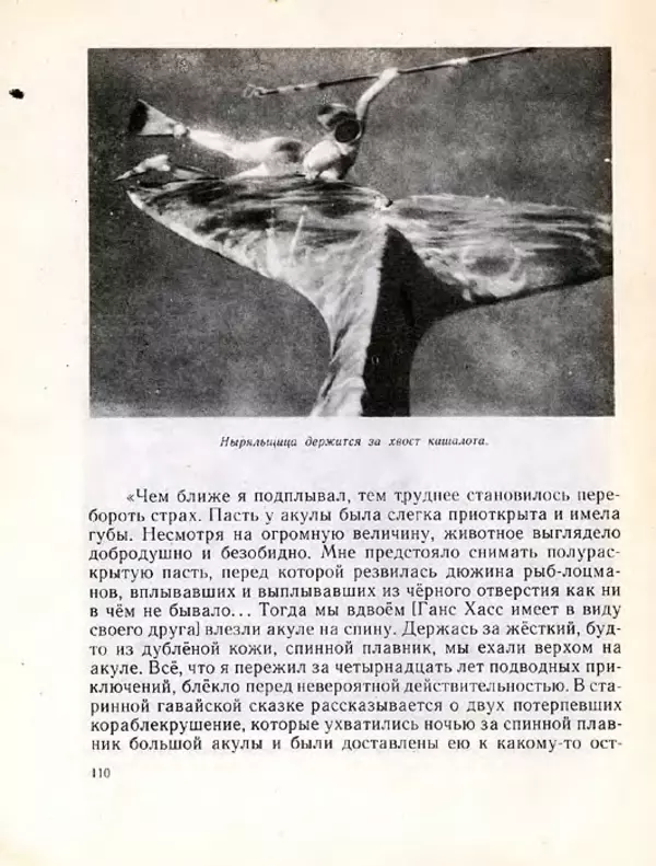 Николай Сладков - Планета чудес - Страница № 110