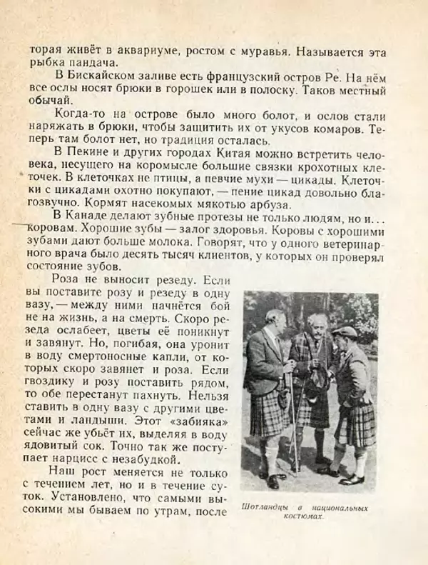 Николай Сладков - Планета чудес - Страница № 117