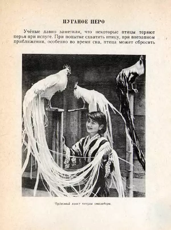 Николай Сладков - Планета чудес - Страница № 121