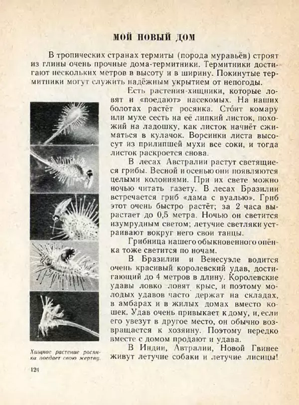 Николай Сладков - Планета чудес - Страница № 124