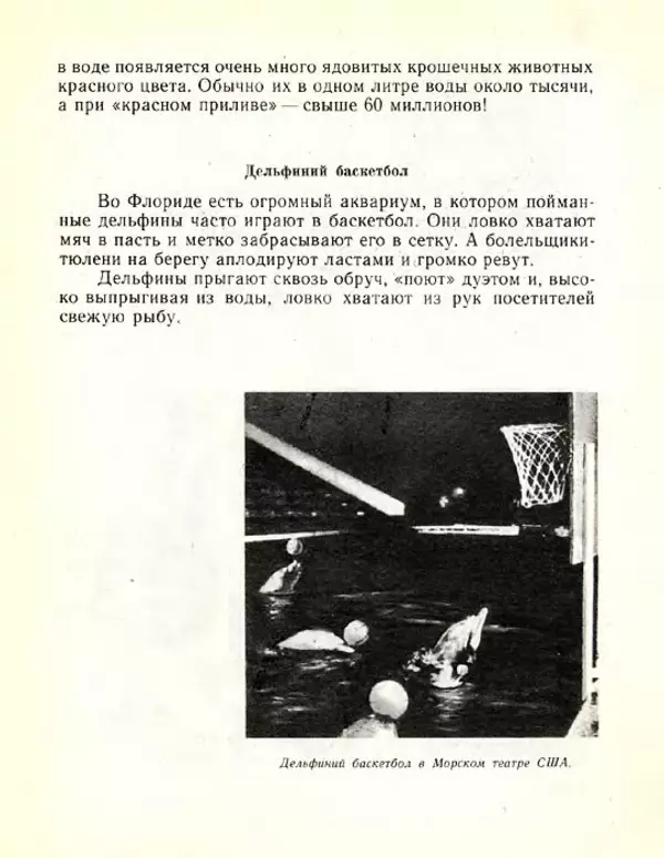 Николай Сладков - Планета чудес - Страница № 143