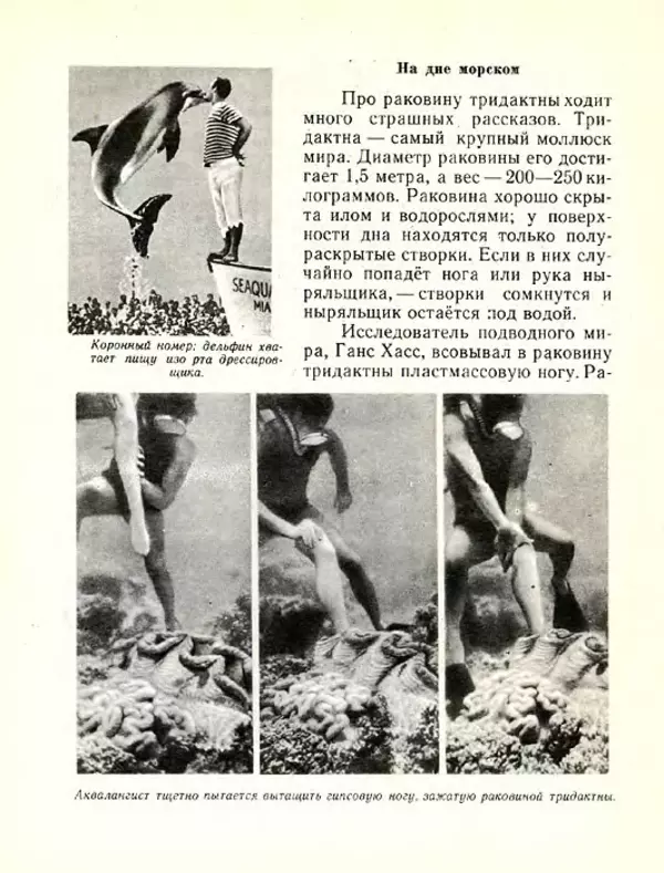 Николай Сладков - Планета чудес - Страница № 144