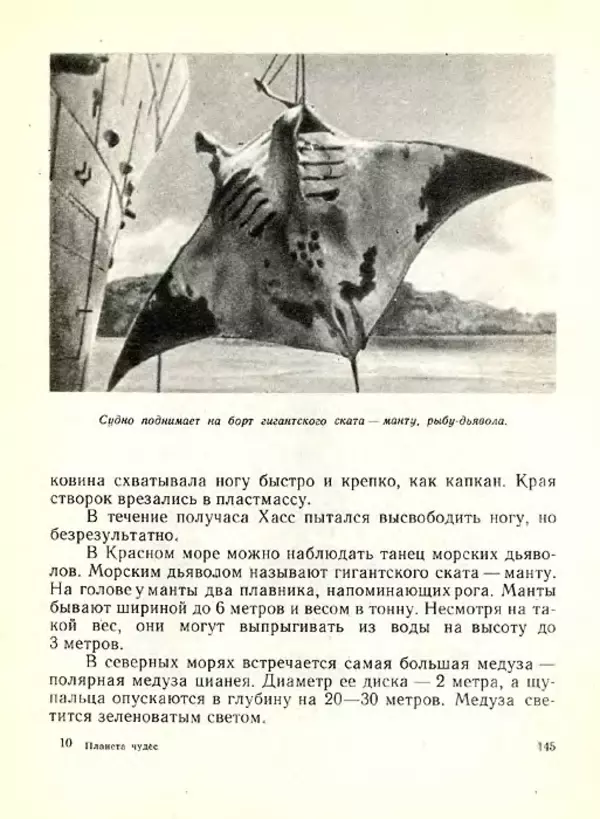 Николай Сладков - Планета чудес - Страница № 145