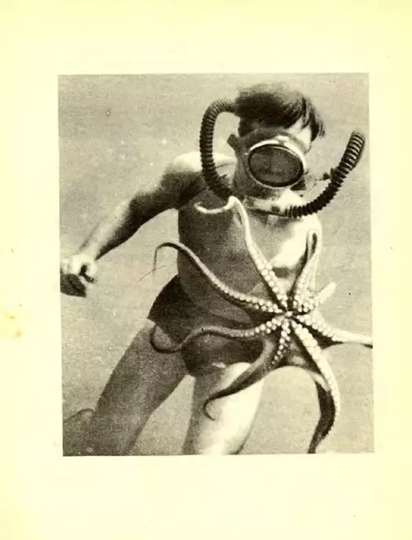 Николай Сладков - Планета чудес - Страница № 27