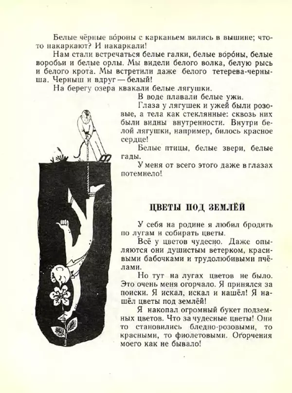 Николай Сладков - Планета чудес - Страница № 45