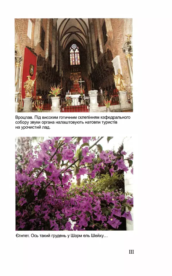 Леся Воронина - У пошуках Огопого - Страница № 84