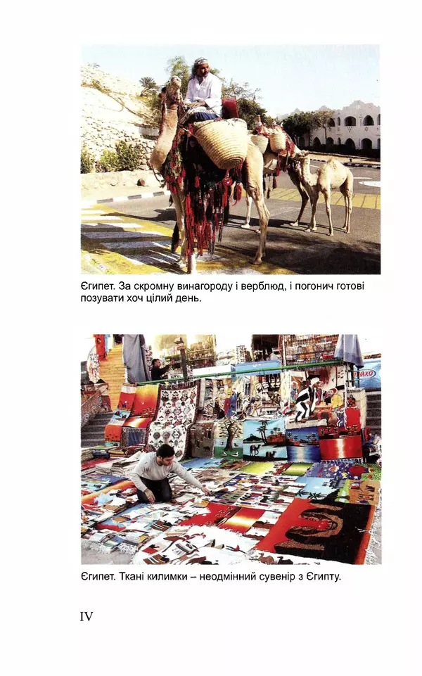 Леся Воронина - У пошуках Огопого - Страница № 85