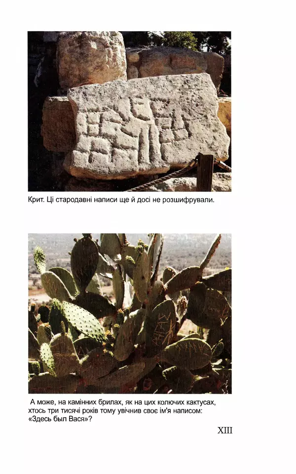 Леся Воронина - У пошуках Огопого - Страница № 94