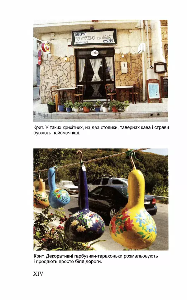 Леся Воронина - У пошуках Огопого - Страница № 95