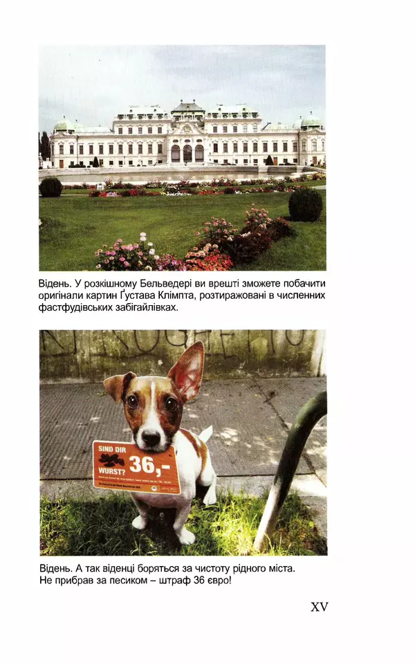 Леся Воронина - У пошуках Огопого - Страница № 96