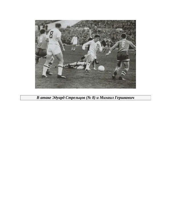 Павел Васильев - Гвардия советского футбола  - Страница № 292