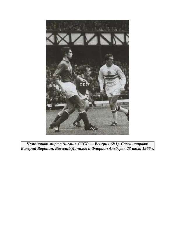 Павел Васильев - Гвардия советского футбола  - Страница № 297