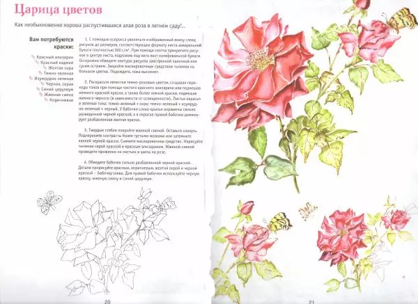  Автор неизвестен - Букеты цветов. Рисуем акварелью - Страница № 12