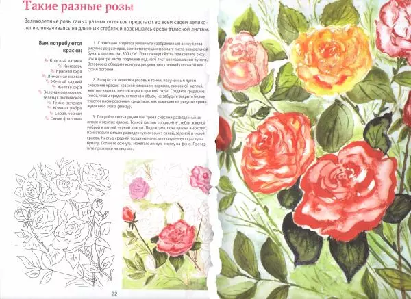  Автор неизвестен - Букеты цветов. Рисуем акварелью - Страница № 13