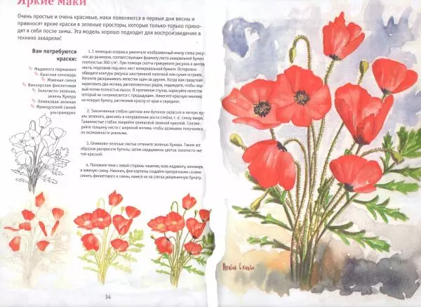  Автор неизвестен - Букеты цветов. Рисуем акварелью - Страница № 19