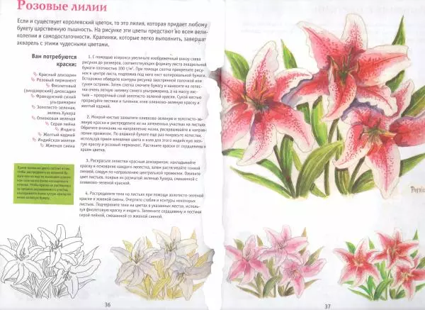  Автор неизвестен - Букеты цветов. Рисуем акварелью - Страница № 20