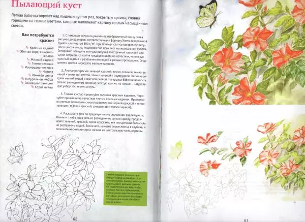  Автор неизвестен - Букеты цветов. Рисуем акварелью - Страница № 33