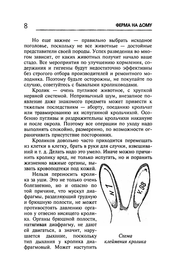 Юрий Харчук - Ферма на дому - Страница № 9