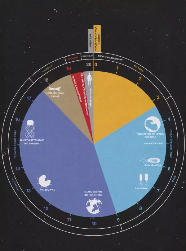 Эндрю Коэн - Чудеса Вселенной - Страница № 209