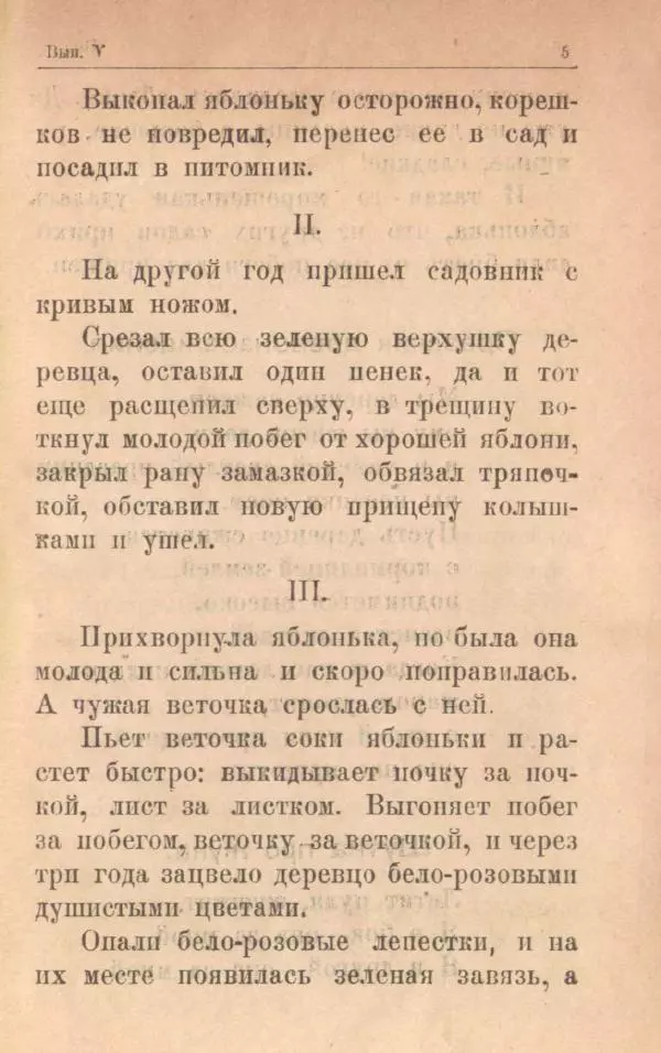Мария Баршева - На воздухе - Страница № 7