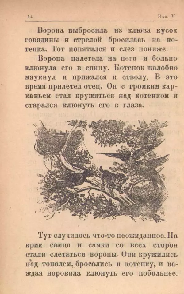 Мария Баршева - На воздухе - Страница № 16