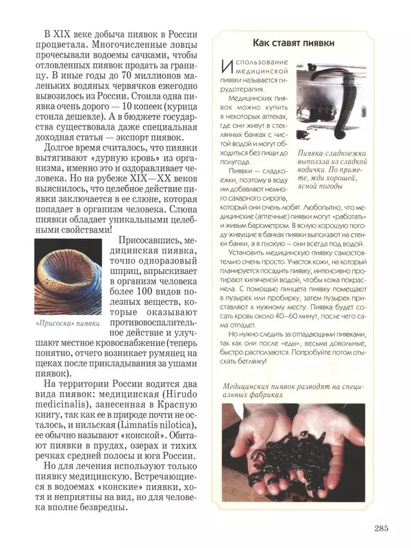  - Русский быт - Страница № 286