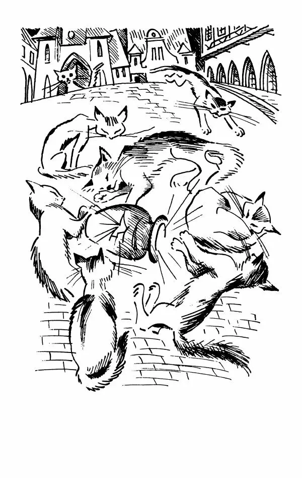 Софья Прокофьева - Оставь окно открытым - Страница № 47