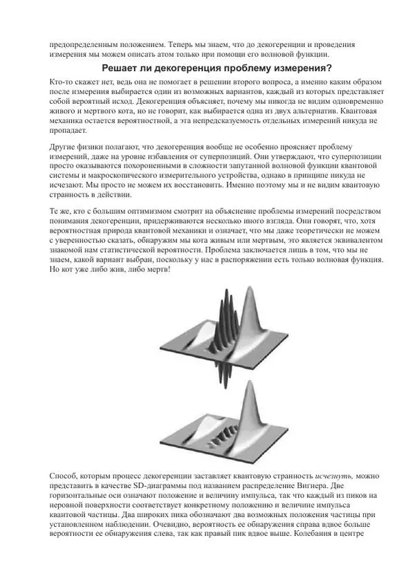 Джим Аль-Халили - Квант - Страница № 76