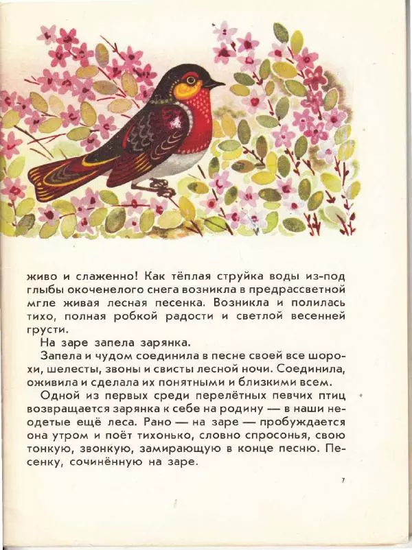 Николай Сладков - Птица чечевица - Страница № 9