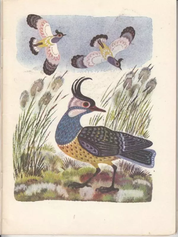 Николай Сладков - Птица чечевица - Страница № 11