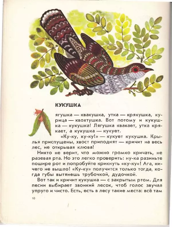 Николай Сладков - Птица чечевица - Страница № 12