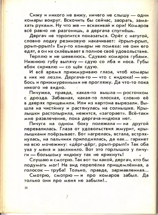 Николай Сладков - Птица чечевица - Страница № 22