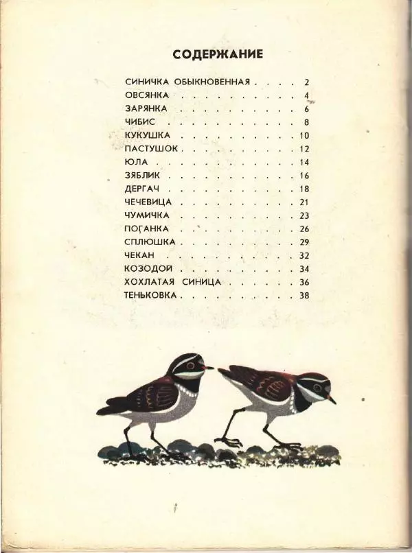 Николай Сладков - Птица чечевица - Страница № 42