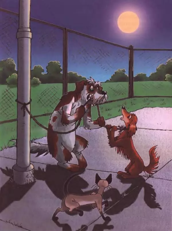 Дик Кинг-Смит - Найти Белую Лошадь - Страница № 62