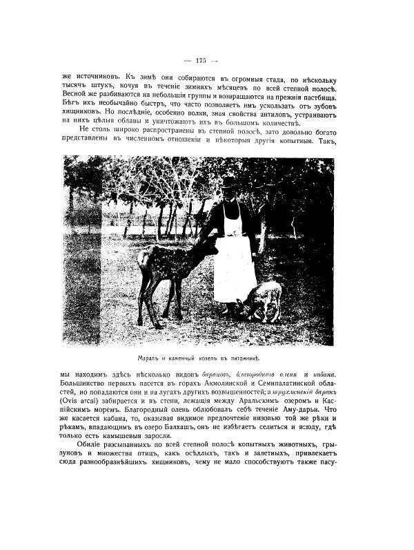  Автор неизвестен - Азиатская Россия, том 2 - Страница № 200