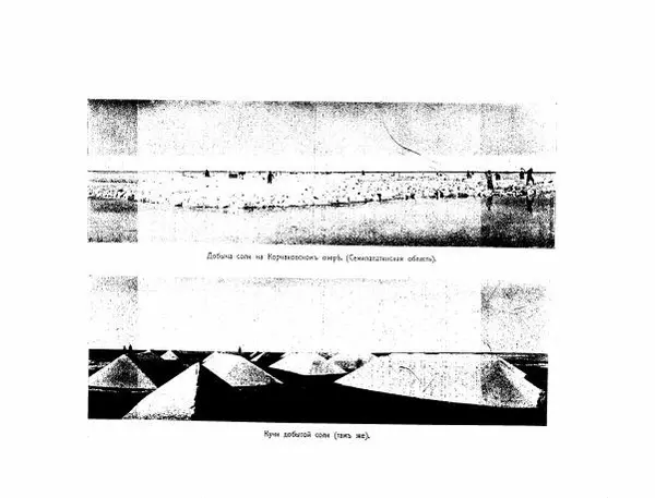  Автор неизвестен - Азиатская Россия, том 2 - Страница № 215