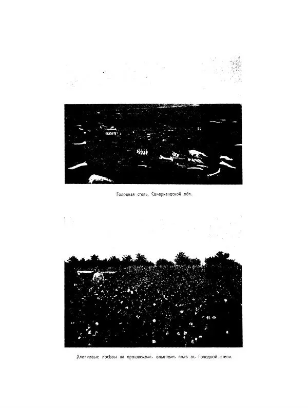  Автор неизвестен - Азиатская Россия, том 2 - Страница № 288