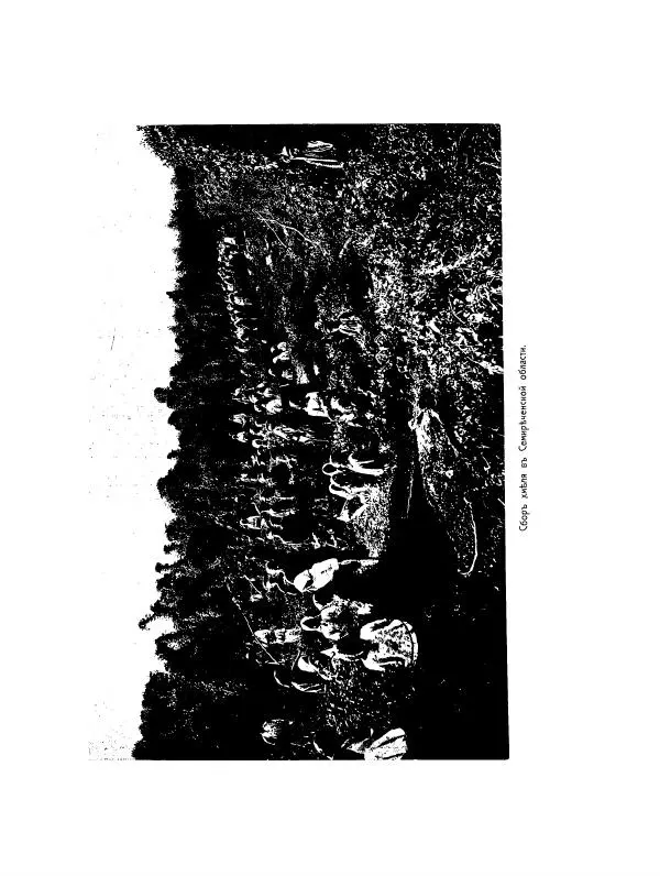  Автор неизвестен - Азиатская Россия, том 2 - Страница № 304