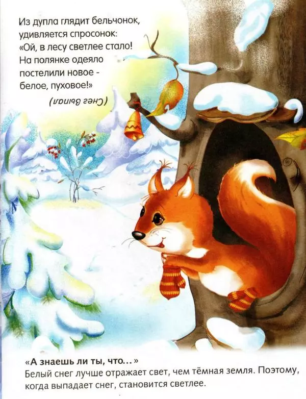 Елена Явецкая - Зимние загадки - Страница № 15