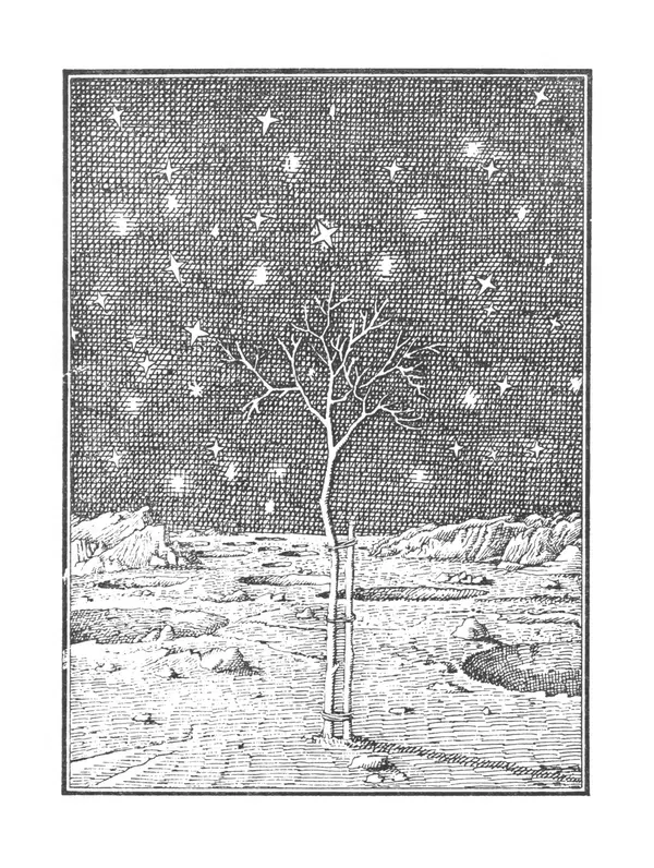 Ярослав Голованов - Марсианин: Цандер. Опыт биографии - Страница № 9