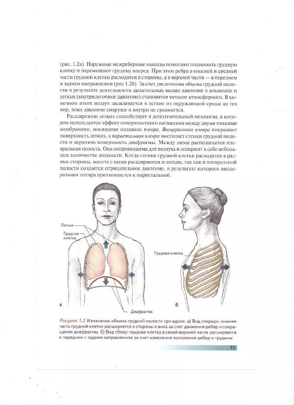 Раэль Исаковиц - Анатомия пилатеса - Страница № 16