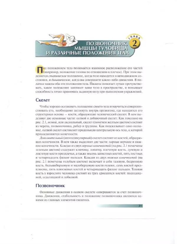 Раэль Исаковиц - Анатомия пилатеса - Страница № 22