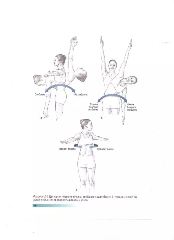 Раэль Исаковиц - Анатомия пилатеса - Страница № 27