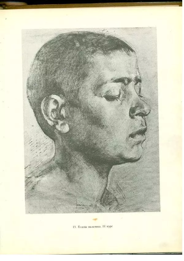  Коллектив авторов - Учебный рисунок - Страница № 20