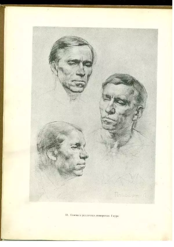  Коллектив авторов - Учебный рисунок - Страница № 27