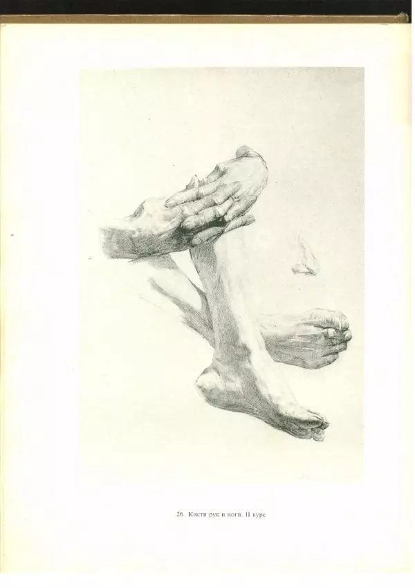  Коллектив авторов - Учебный рисунок - Страница № 39