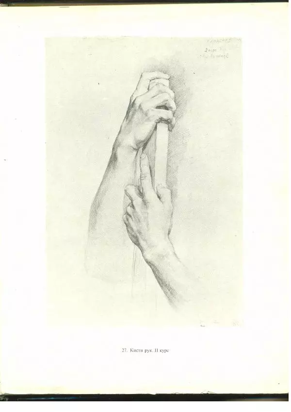  Коллектив авторов - Учебный рисунок - Страница № 40