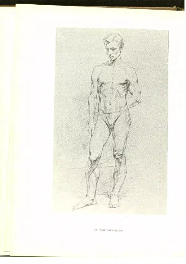  Коллектив авторов - Учебный рисунок - Страница № 49