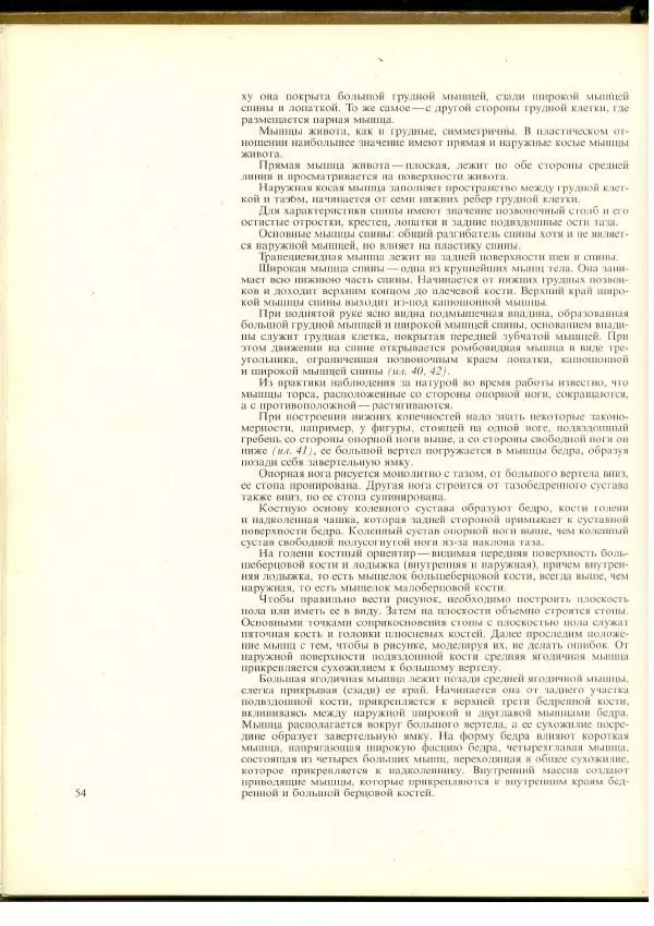  Коллектив авторов - Учебный рисунок - Страница № 55