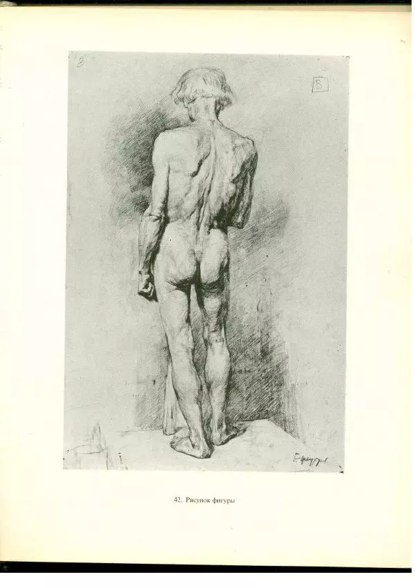  Коллектив авторов - Учебный рисунок - Страница № 58